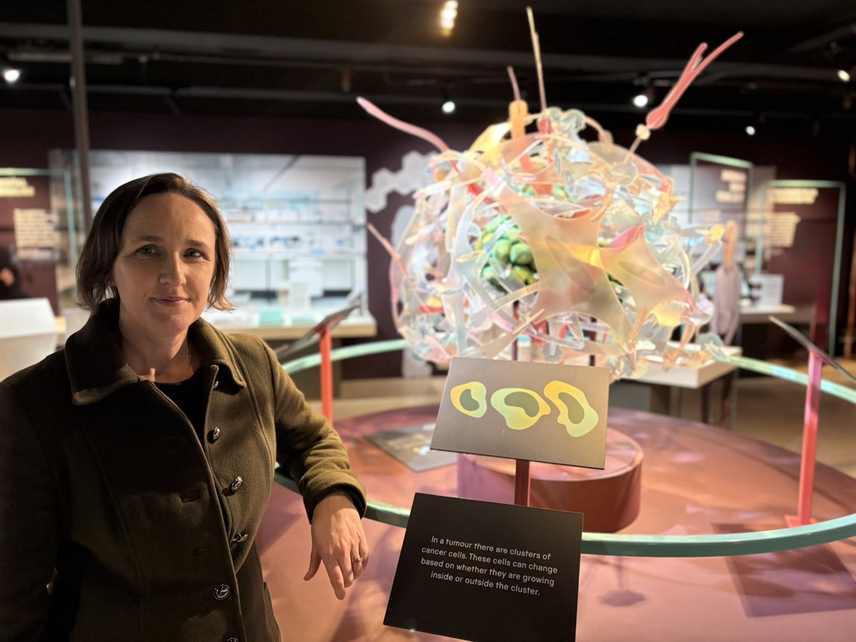 𝗔𝗺𝘆 𝗡𝗼𝗹𝗮𝗻 💛 tweet media