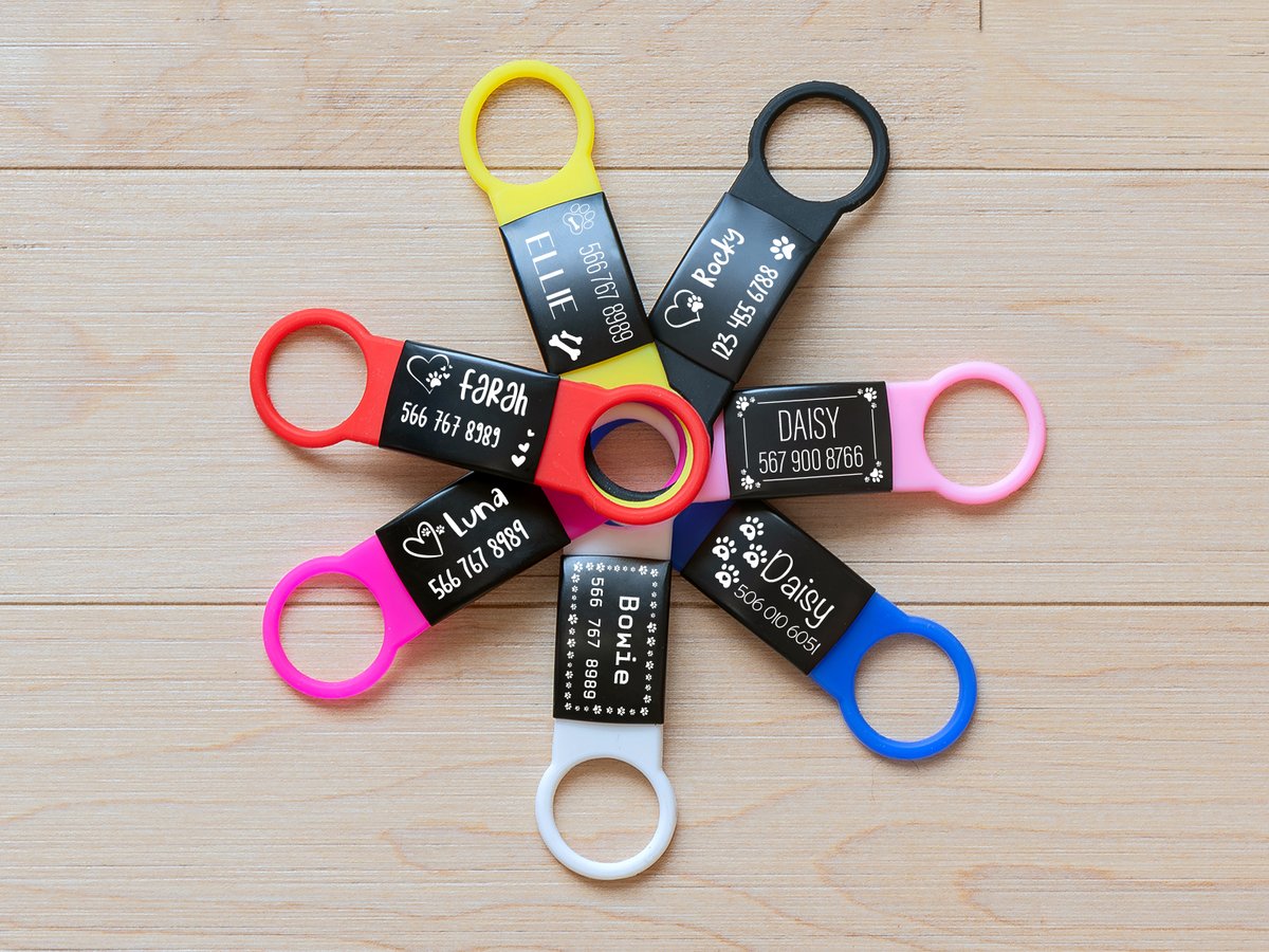 BuddiesCollars's tweet photo. Keep your dog safe without the jingle — Silent Dog Tags designed for comfort, durability, and peace of mind.
https://t.co/KtSlfJHLfx https://t.co/ljbcx2kOQg