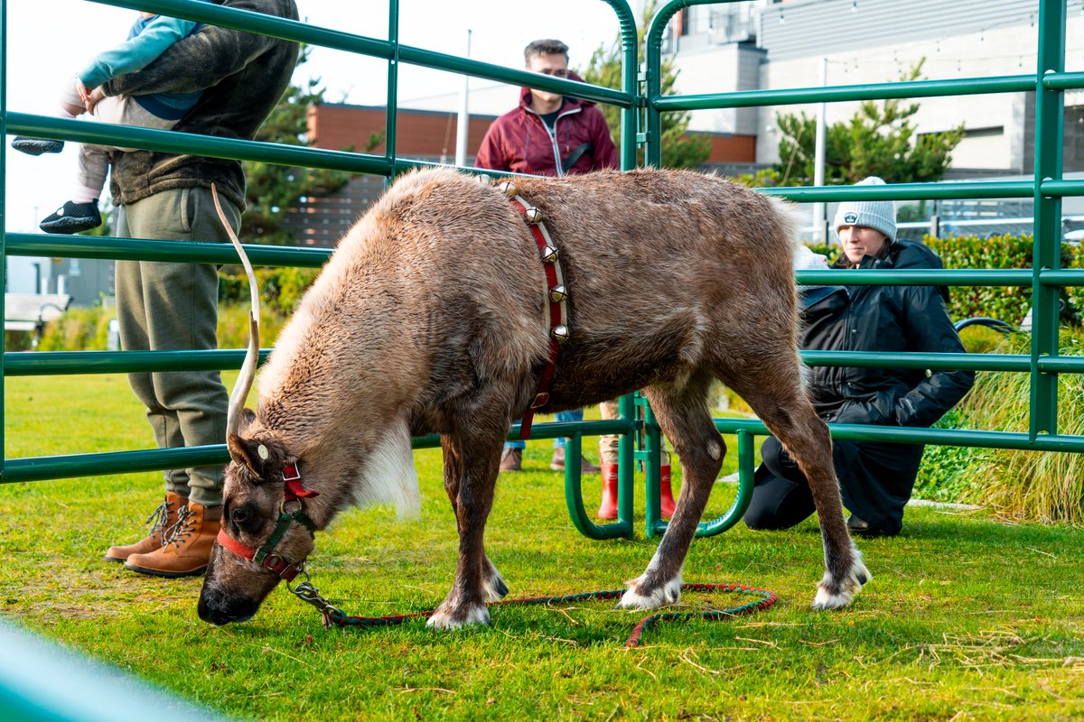 Port of Everett tweet media