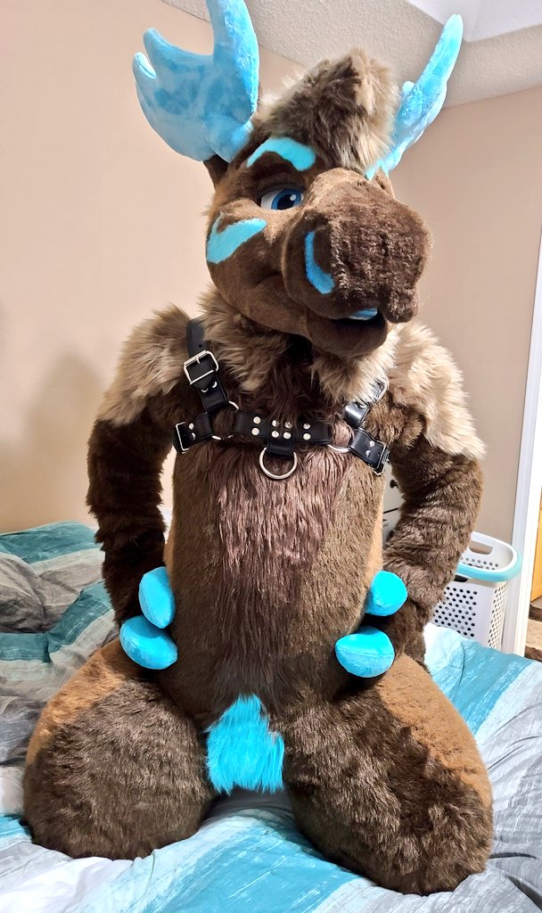 Flufff times calls for good flufff rubs! Especially in chilly weather !
<a href="/TwinkyArts/">Twinky Arts✨</a>  ~