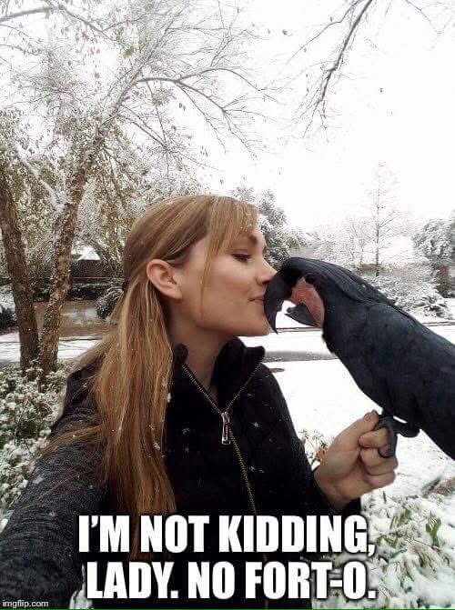 FishieBug's tweet image. 