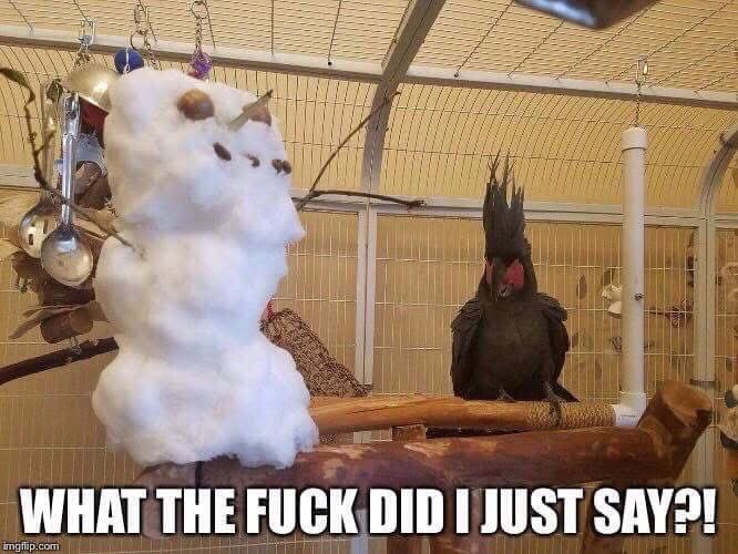 FishieBug's tweet image. 