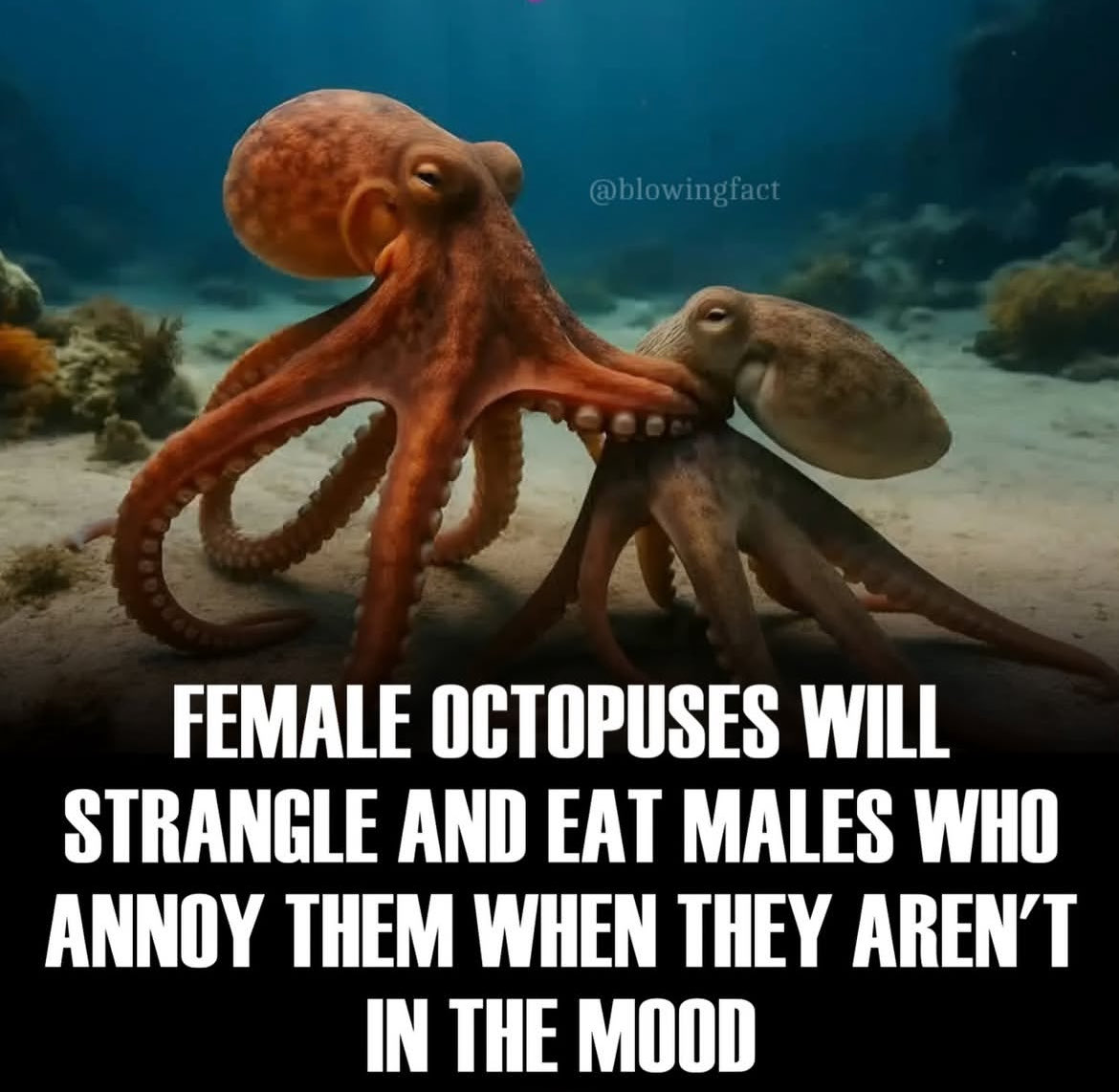 Royalpixy's tweet photo. Is this true???? https://t.co/Y8xXrQyfRZ