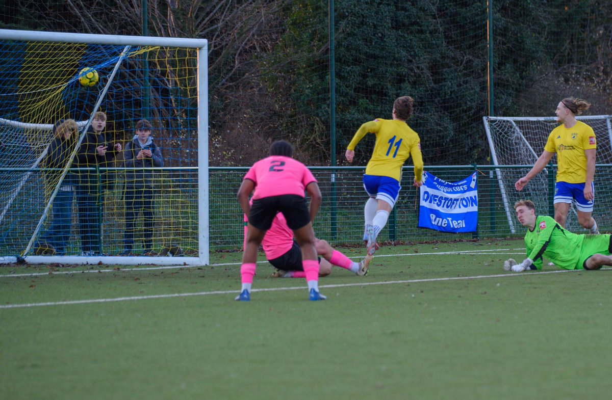 Josh Lee tweet media