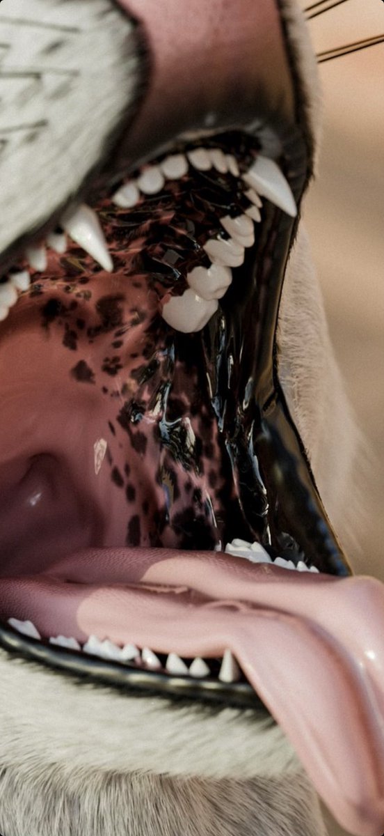 Kiwi_Dox's tweet image. Totally not me now swooning at the idea of pressing my snout into the mottled inner cheek wall with my bull hugged by his throat, totally not… fuck why do I do this to myself