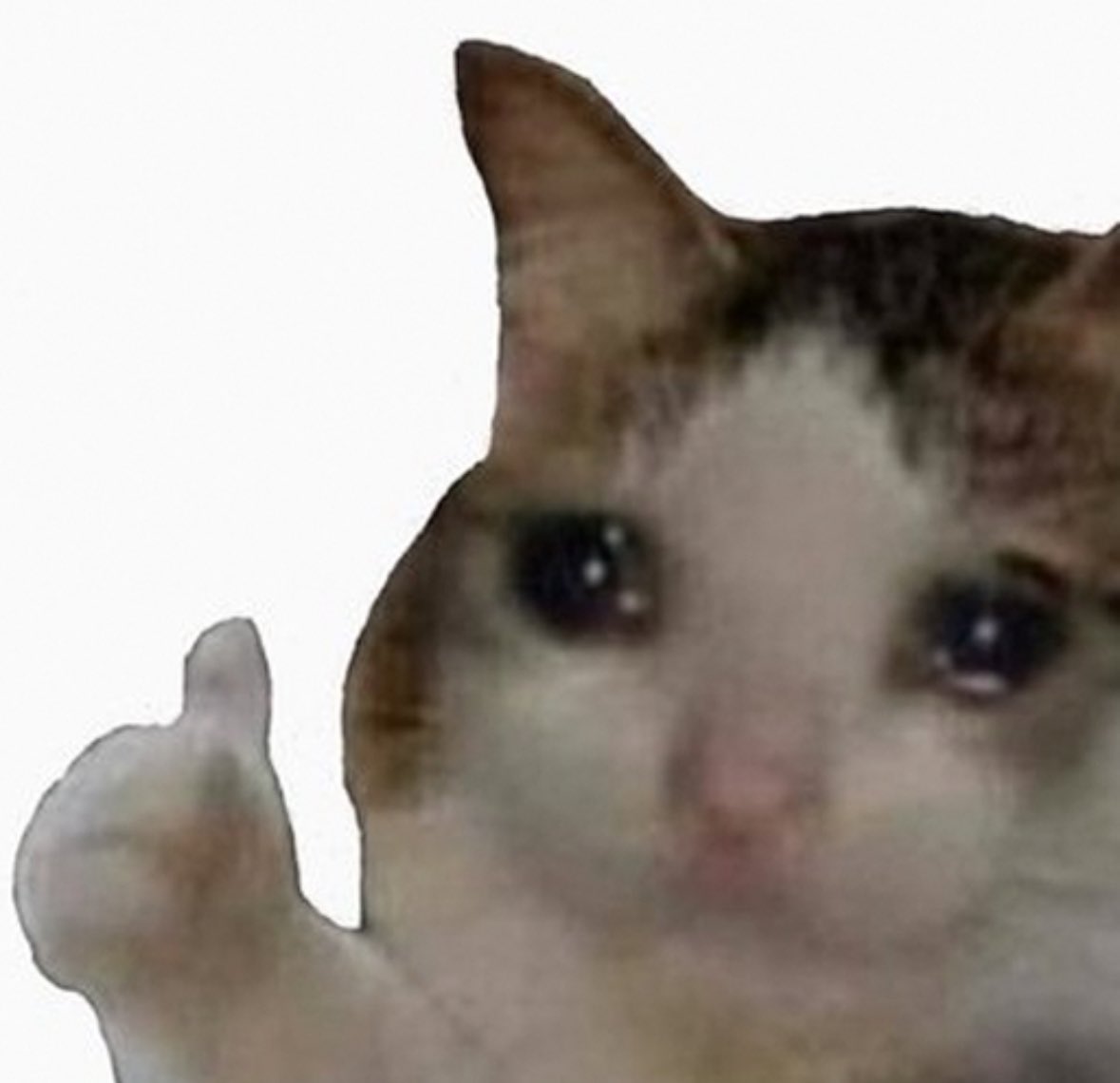 delicocuk (@sugarmomintown) on Twitter photo 