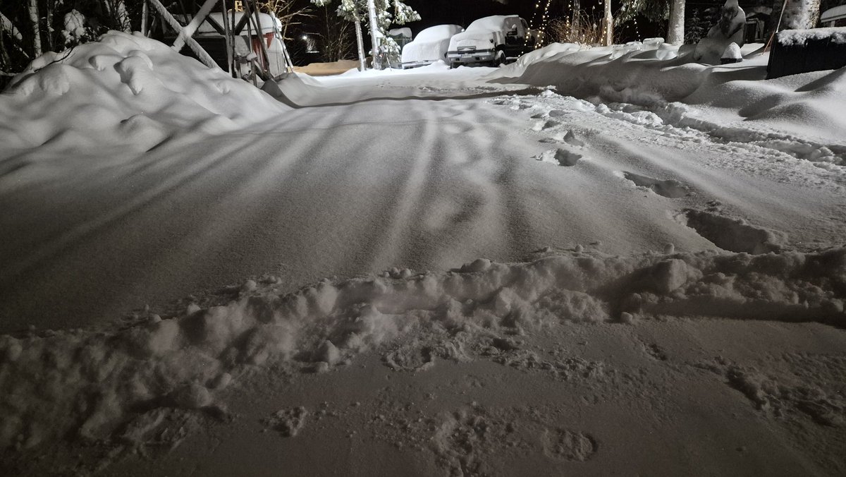 keski_e's tweet image. Tämän illan satoa! 
Ei tullu vetenä ei! 💙😎❄️
#winterrules #ivalo #puuteria