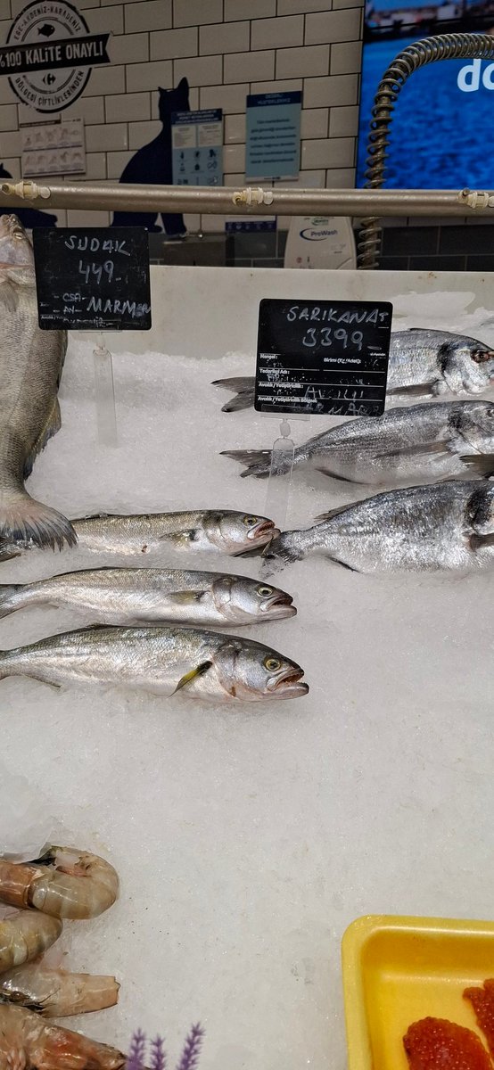 Carrefour mağazada Sarıkanat 3399TL fiyat nedir???
<a href="/ticaret/">T.C. Ticaret Bakanlığı</a>
<a href="/CarrefourSA/">CarrefourSA</a>