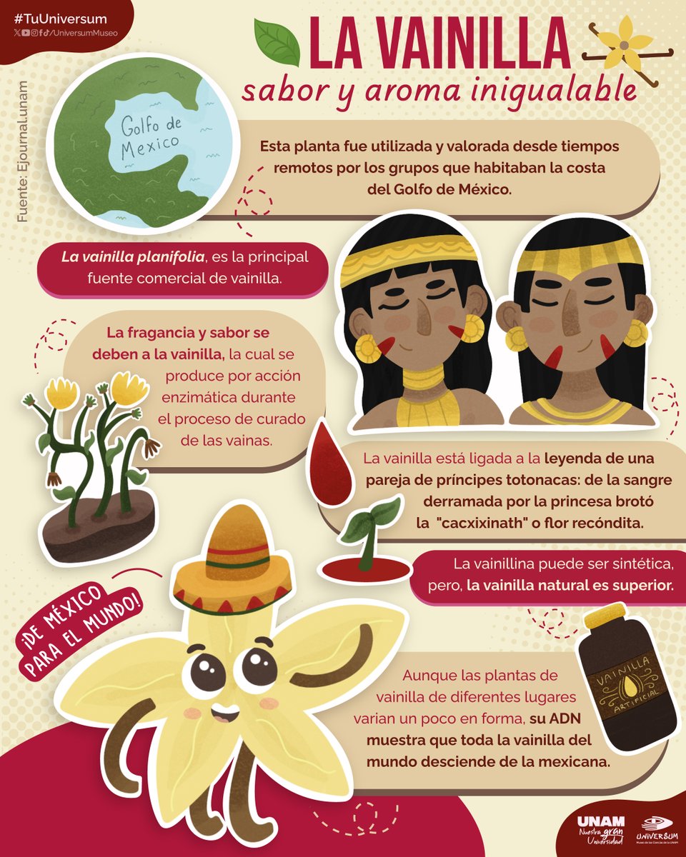 Nada como el dulce aroma de la vainilla 🥰
Conoce más sobre esta increíble planta 🤩👇
#TuUniversum