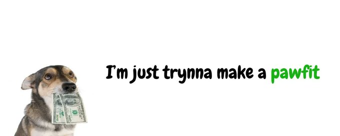 just trynna make a pawfit tweet media