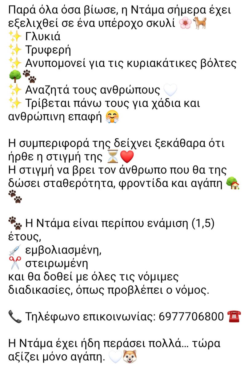 🆘️🆘️🆘️
Η Ντάμα εχει περάσει πολλά 
Παρά τα οσα βίωσε είναι ενα υπέροχο σκυλί
Γλυκιά,τρυφερή,χαδιάρα 
Αναζητεί σπίτι 
1.5 έτους,εμβολιασμενη,στειρωμενη,θα δοθεί με όλα τα νόμιμα
Rt 🙏 🙏 🙏