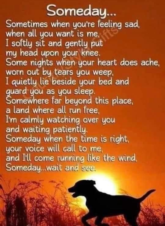 Anne in Texas tweet media