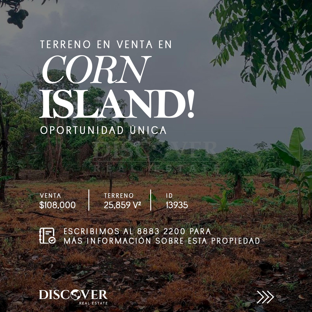 DiscoverRealtor's tweet image. 🏝️ Terreno en Pastures, Corn Island, ideal para inversión turística o eco-residencial.
Amplio, versátil y con alto potencial en una de las zonas con mayor proyección del Caribe.
💰 $108,000
📐 25,859 v²
🔑 ID: 13935
📲 +505 8883-2200

#CornIsland #Terrenosm#Inversión#BienesRaíces