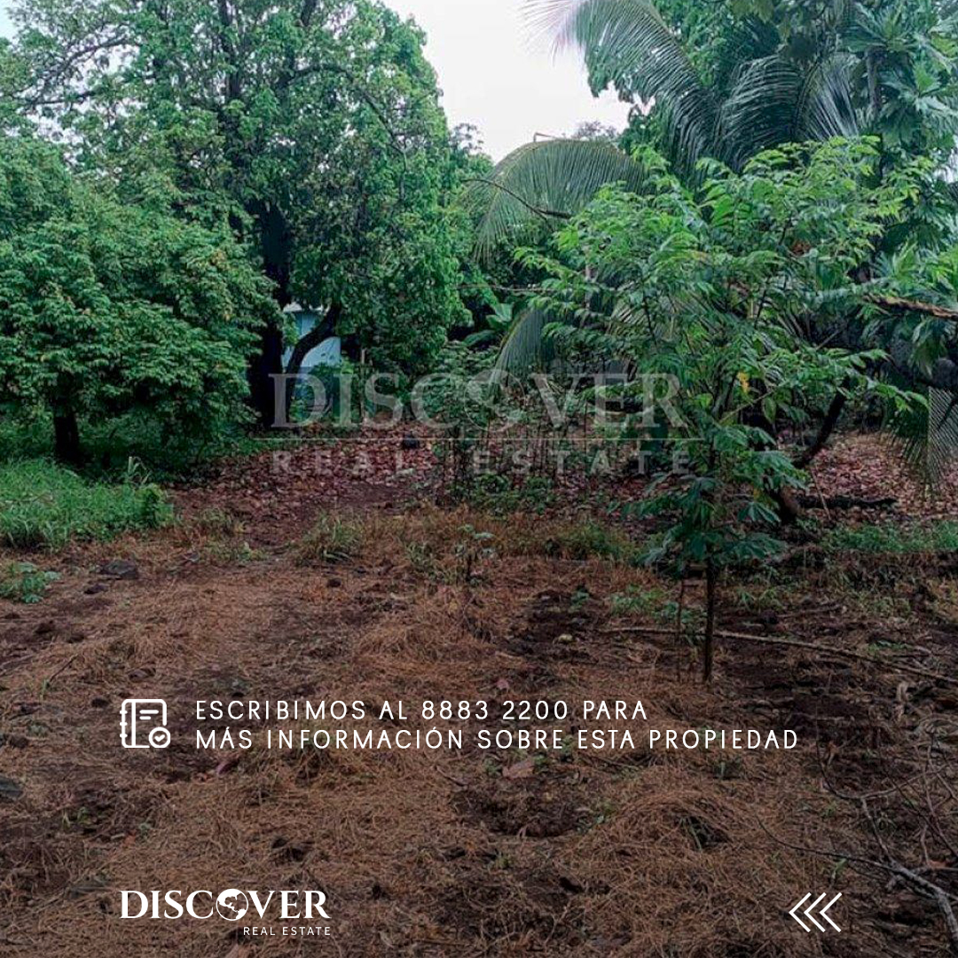 DiscoverRealtor's tweet image. 🏝️ Terreno en Pastures, Corn Island, ideal para inversión turística o eco-residencial.
Amplio, versátil y con alto potencial en una de las zonas con mayor proyección del Caribe.
💰 $108,000
📐 25,859 v²
🔑 ID: 13935
📲 +505 8883-2200

#CornIsland #Terrenosm#Inversión#BienesRaíces