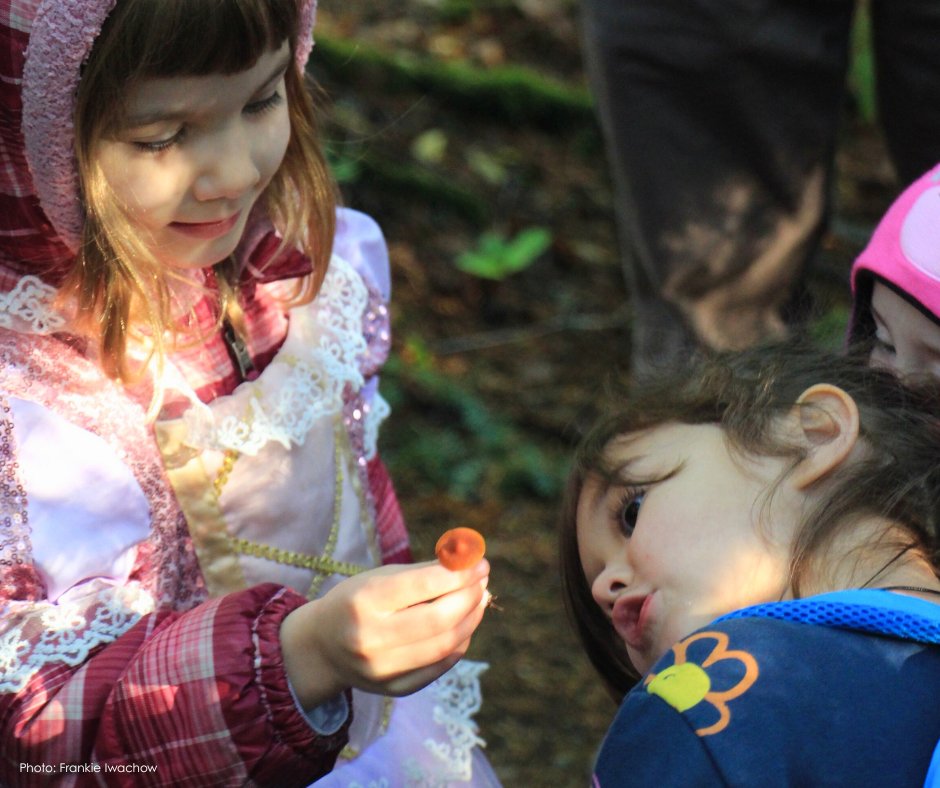 The Land Conservancy tweet media