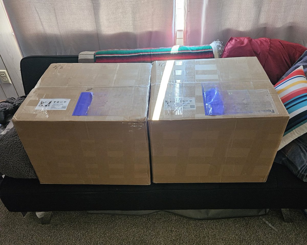 Saw this pakidge out in the freezing cold, so I brought it in. They seem to be at home on the futon. Maybe they'll hatch this weekend? I'll get some help to catch it on video.