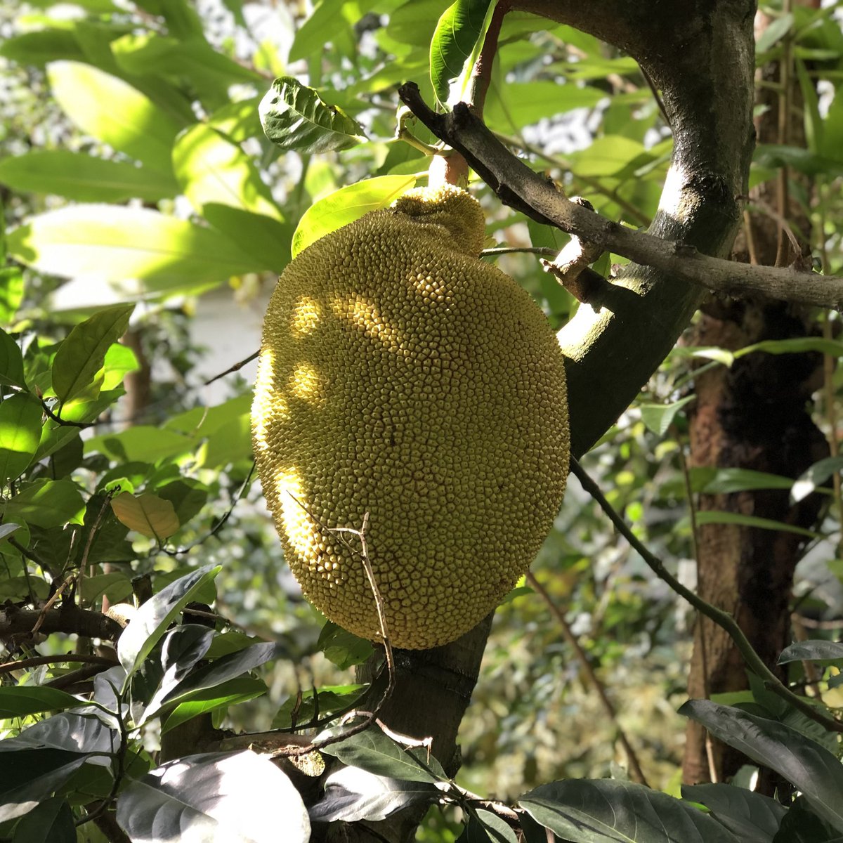 おはよーございます！(￣-￣)ゞ 今日もいっぱいよいことありますように