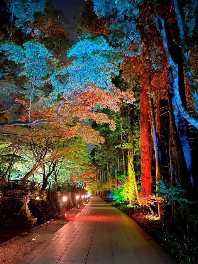 �\�[�V�����}�K�W���w�R�X���f�B�A�h�b�g�R��!!�x:�ŐV���𐏎��X�V��!!