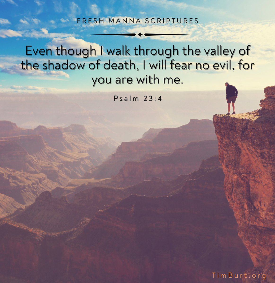 Timothy Burt (@timburt) on Twitter photo 