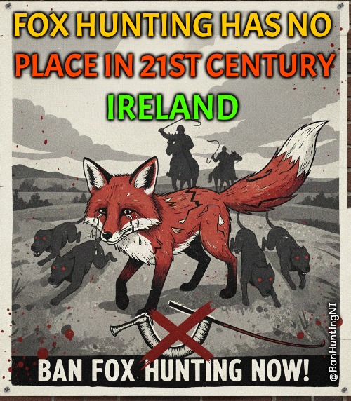 Anti Hunting NI #TeamFoxNI 🇺🇦 tweet media