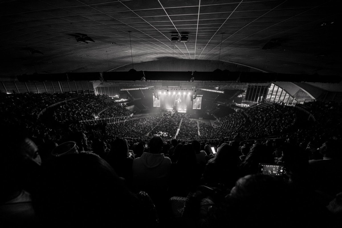 davidbisbal tweet media