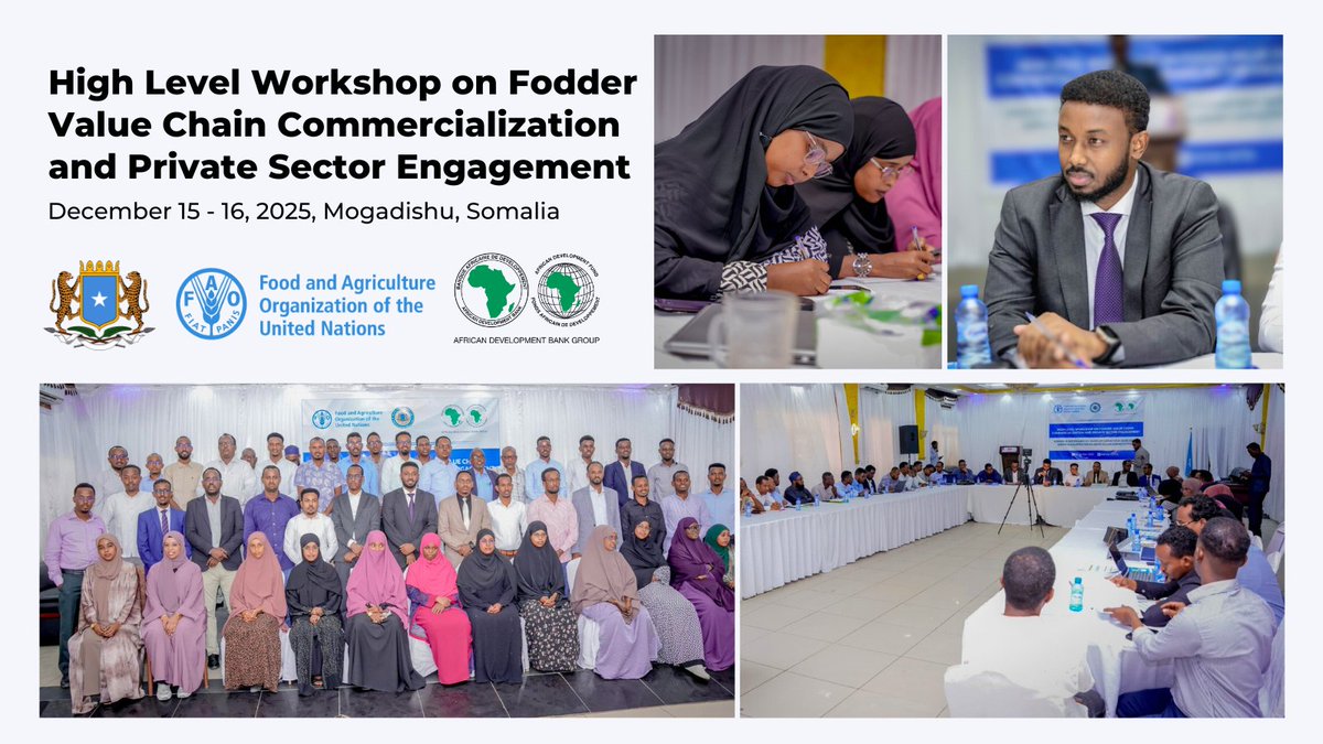 Ministry of Livestock, Forestry & Range - Somalia tweet media