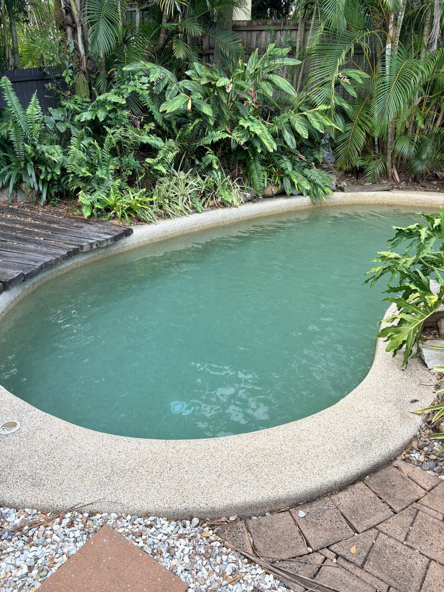 BrisBearFella tweet media