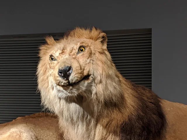dracabitchII's tweet photo. @TrumpFrance https://t.co/jV4ifASiJz