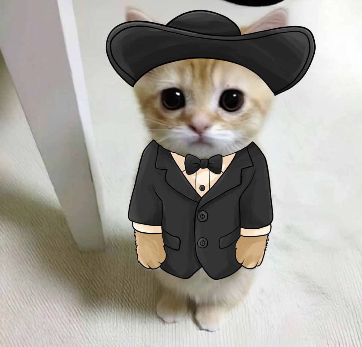 Hola, amigo. Creo que deberías comprar un poco de $elgato.