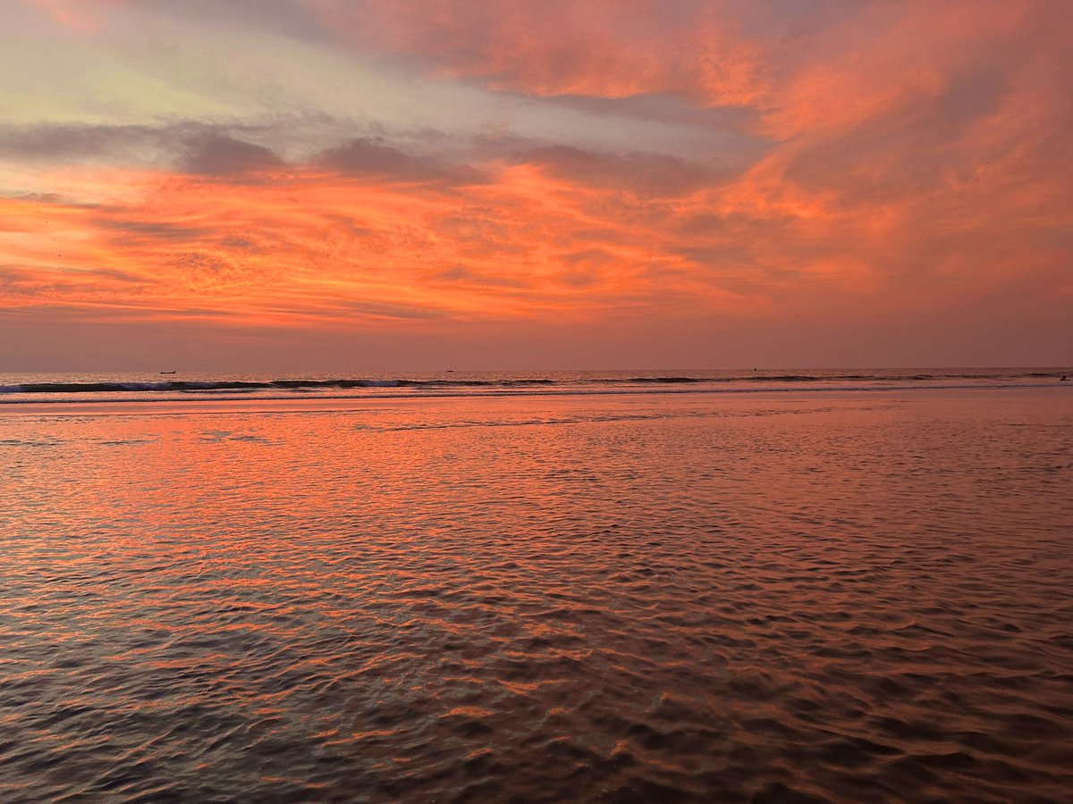 KasakGupta7's tweet photo. forget spotify

show me your 2025 travel wrapped

a few highlights (odisha, nainital-Jim Corbett , Goa , Udaipur) https://t.co/KnOKCwmY7v