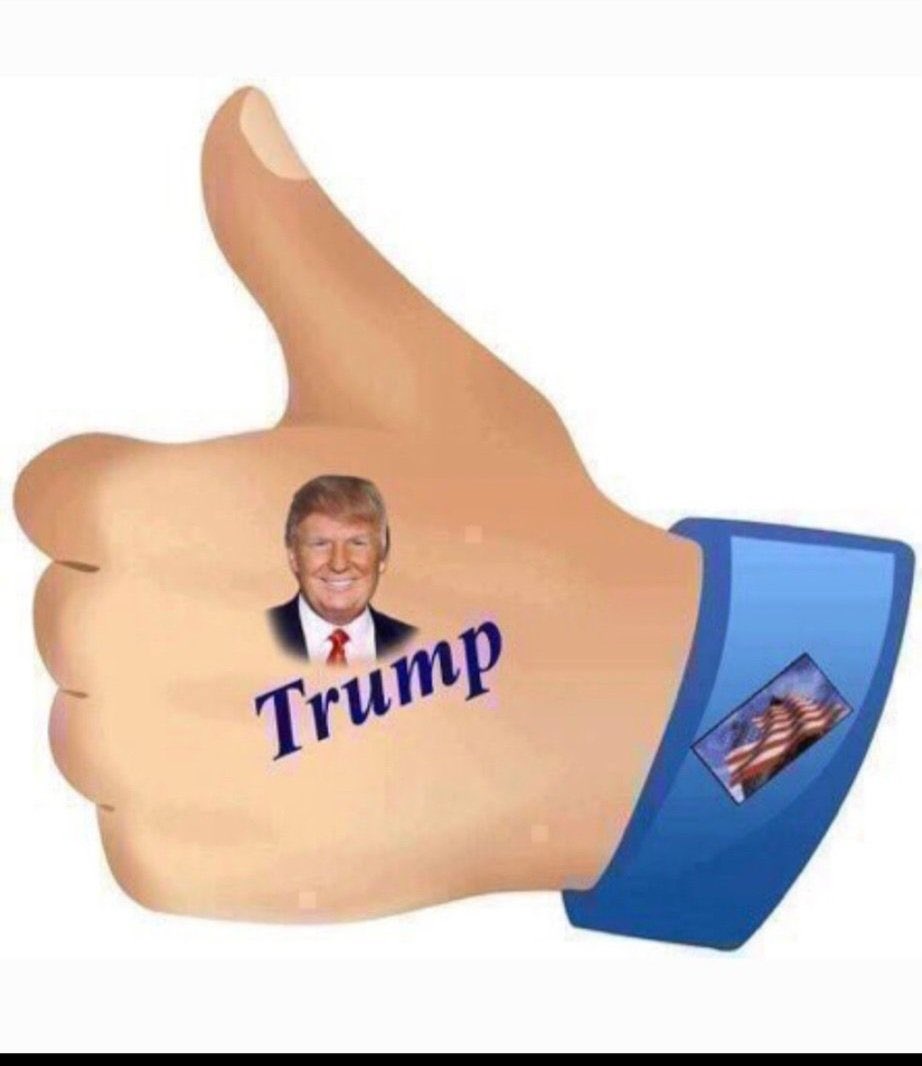 THE TRUMP EFFECT 🇺🇸🔥 Strong borders. Zero tolerance for terror