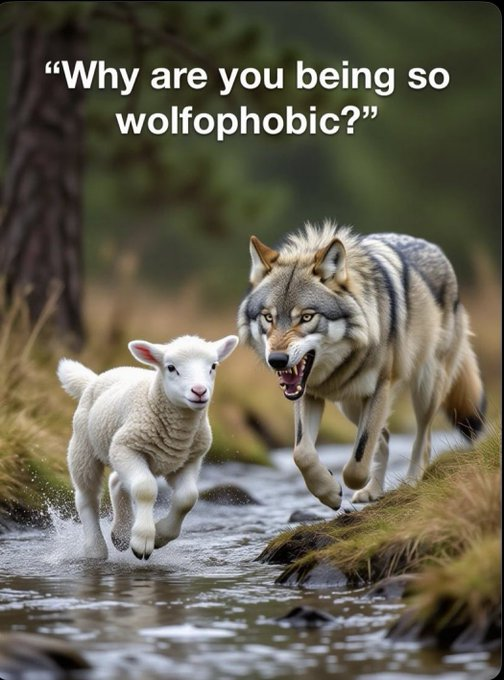 Imtiaz Mahmood (@imtiazmadmood) on Twitter photo 