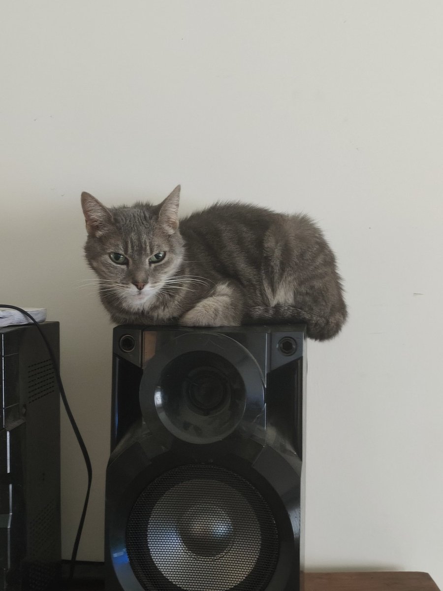 Je t'aime de trop ma petite chérie