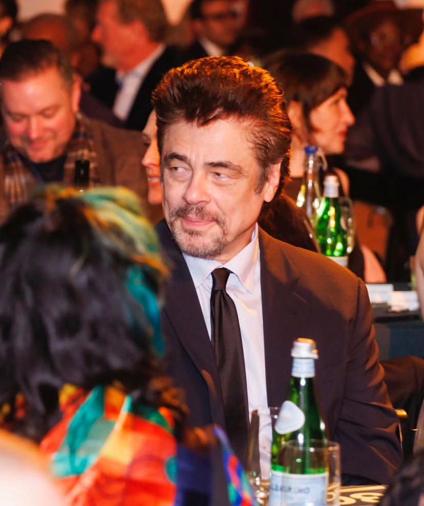 Benicio del toro 🇵🇸 (@1967wolfman) on Twitter photo 