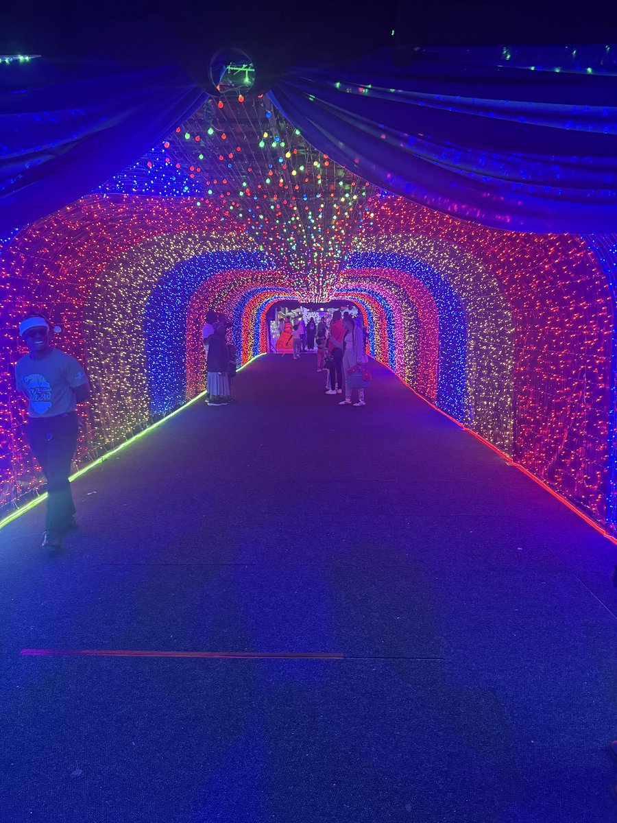 RobynSnayers's tweet image. Christmas lights with my crew❤️