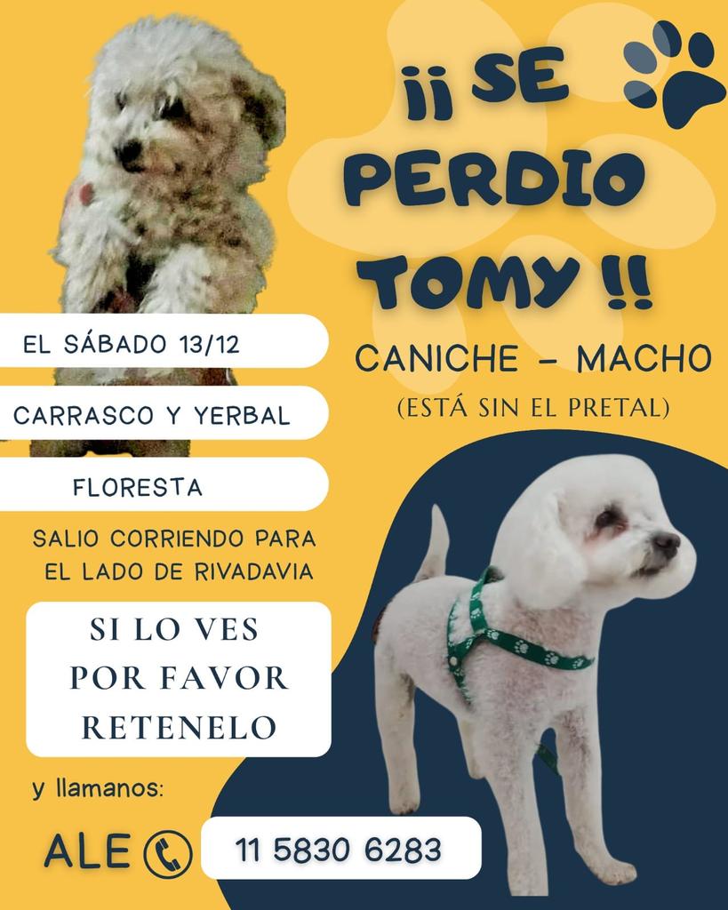 patripeyrou's tweet image. Rt
Recompensa en dolares