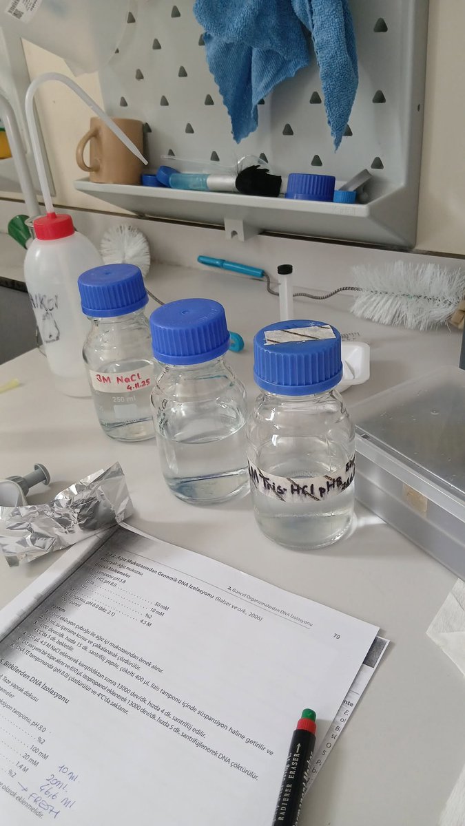 3saat harcayıp hiçbişey anlamadan bitirilen bir lab dersi🥲