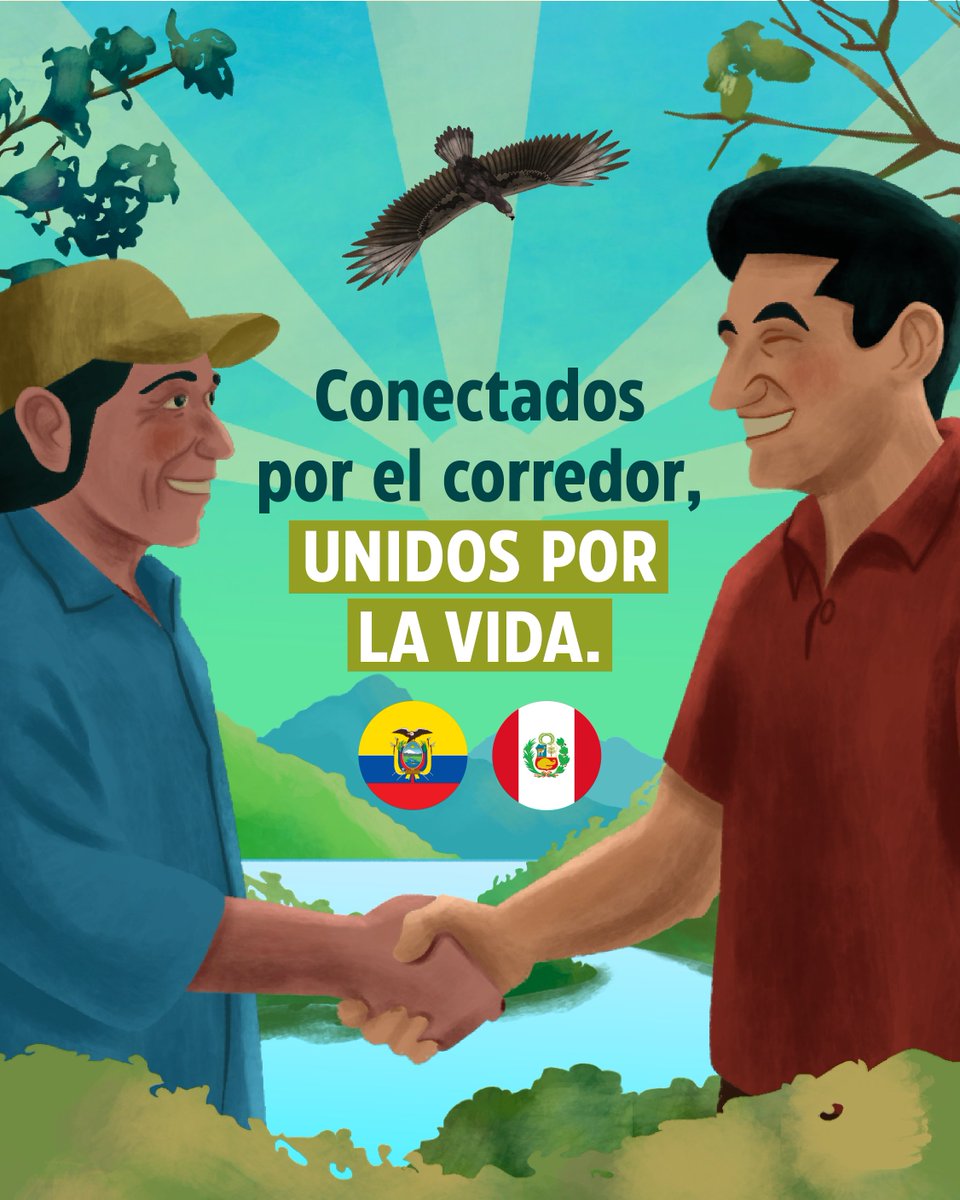 Plan Binacional Capítulo Ecuador tweet media