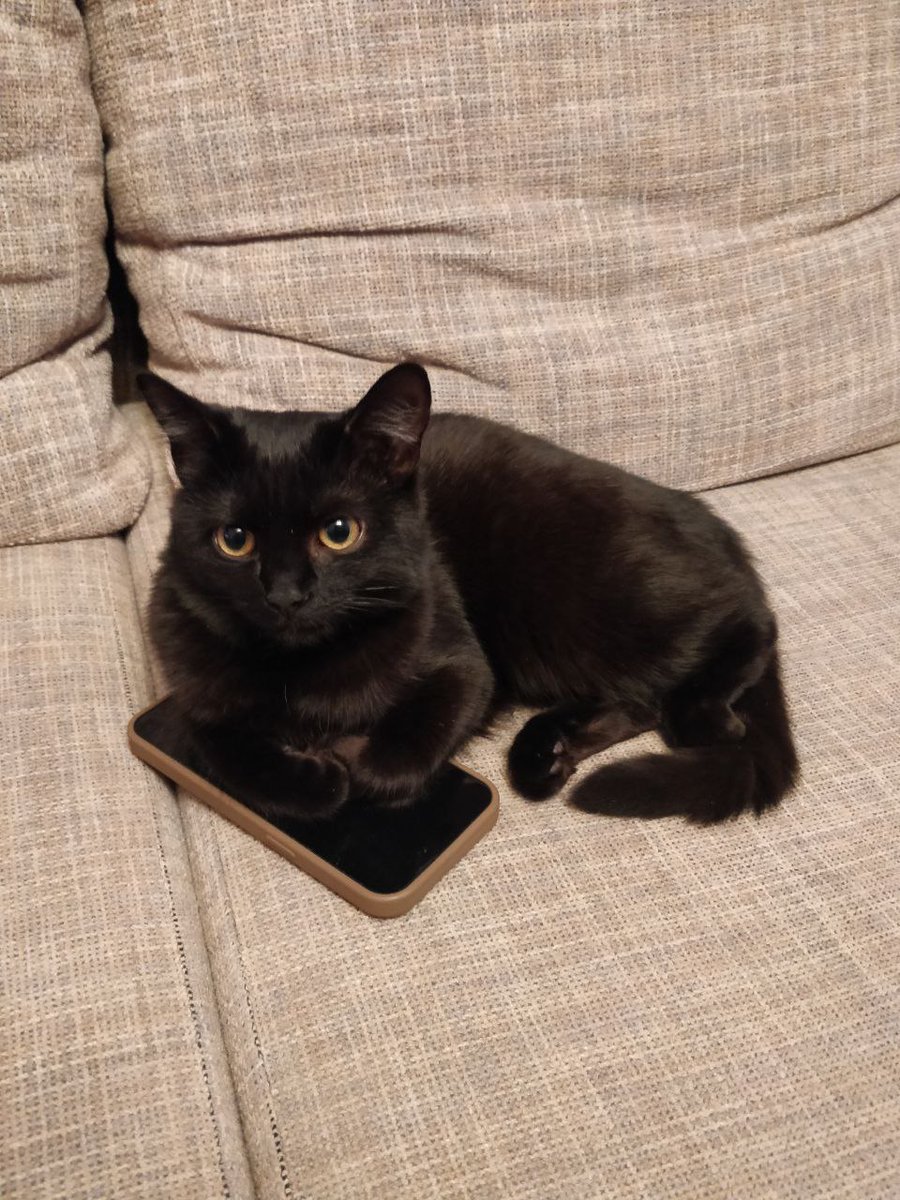 who needs loomlocks when you can have a pawlock