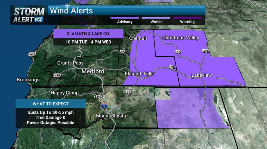 Sara Kress tweet media