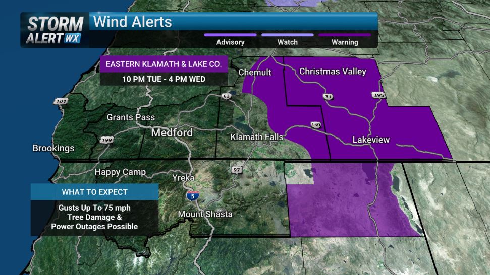 Sara Kress tweet media