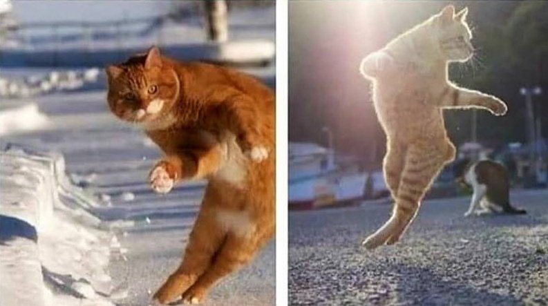 Jöe 🇬🇧 tweet media