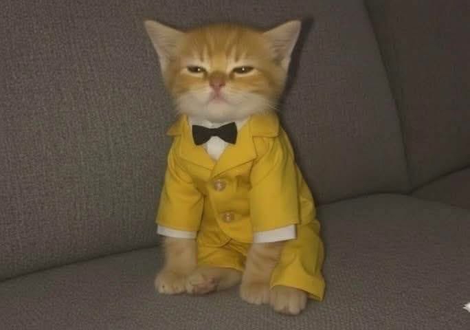 Yo el 31 de diciembre todo el día para atraer dinero: