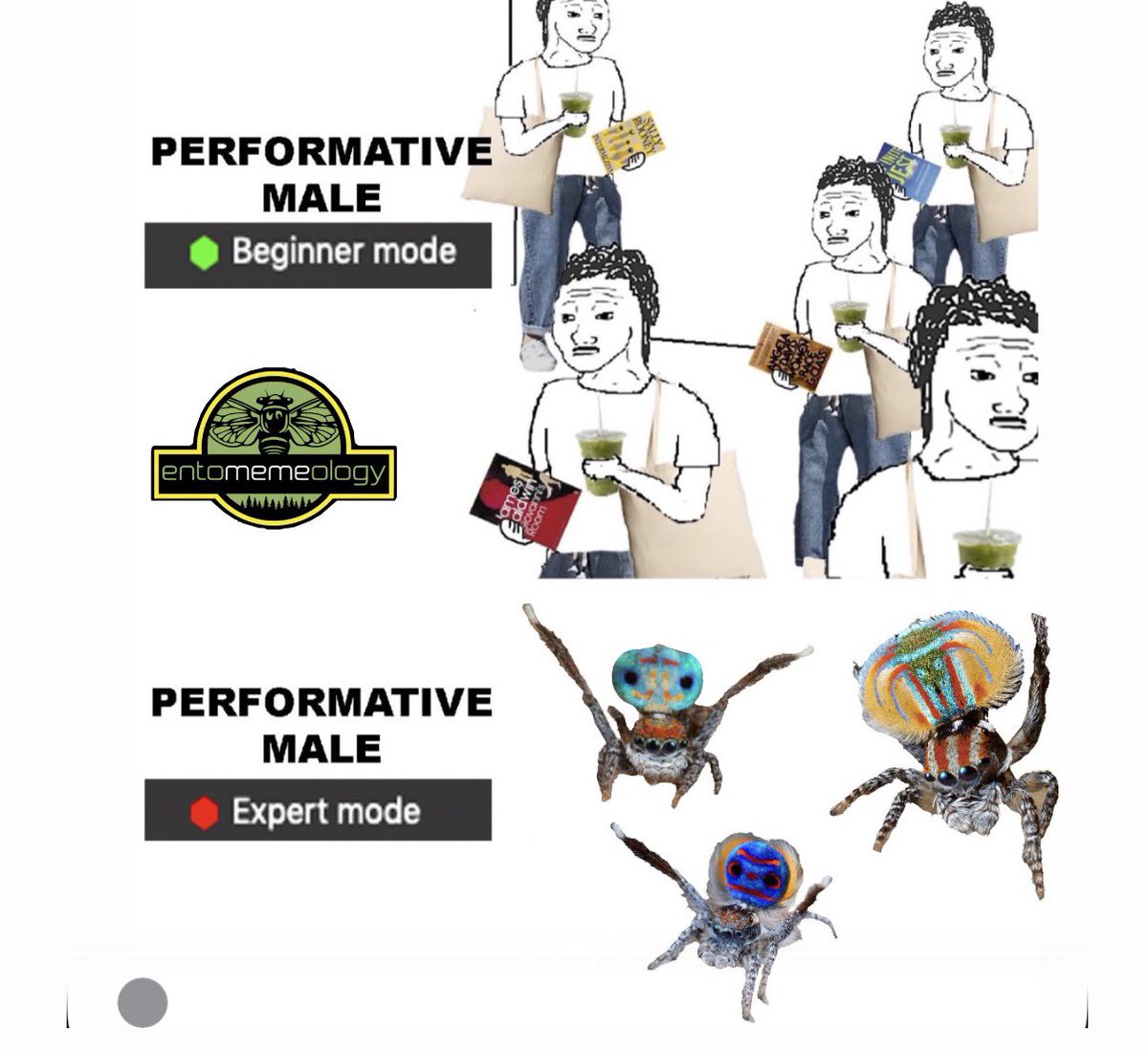entomemeology's tweet image. 🙌
