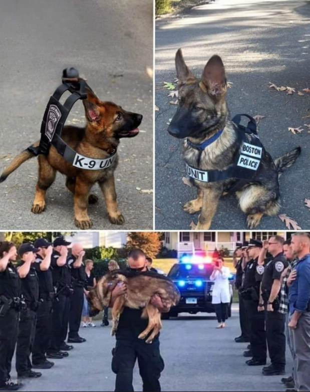 First day of service and last day of a hero 💔