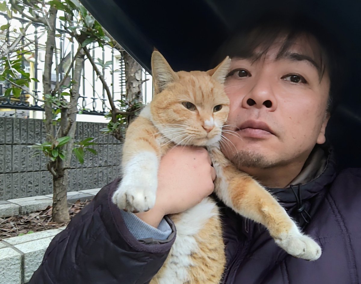 ハイジ (@haiji1010) / Posts / X