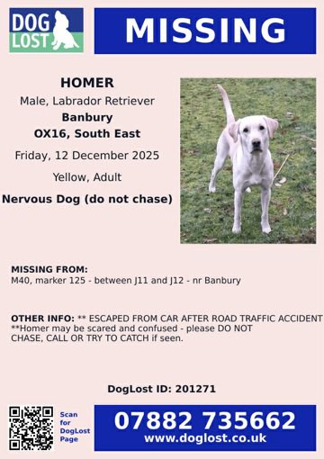 FIND MISSING ROXY UB9 tweet media