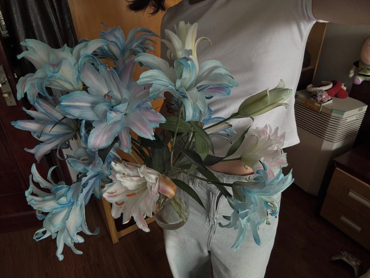 𝗟𝗲𝗲𝗻 (@1leio) on Twitter photo 