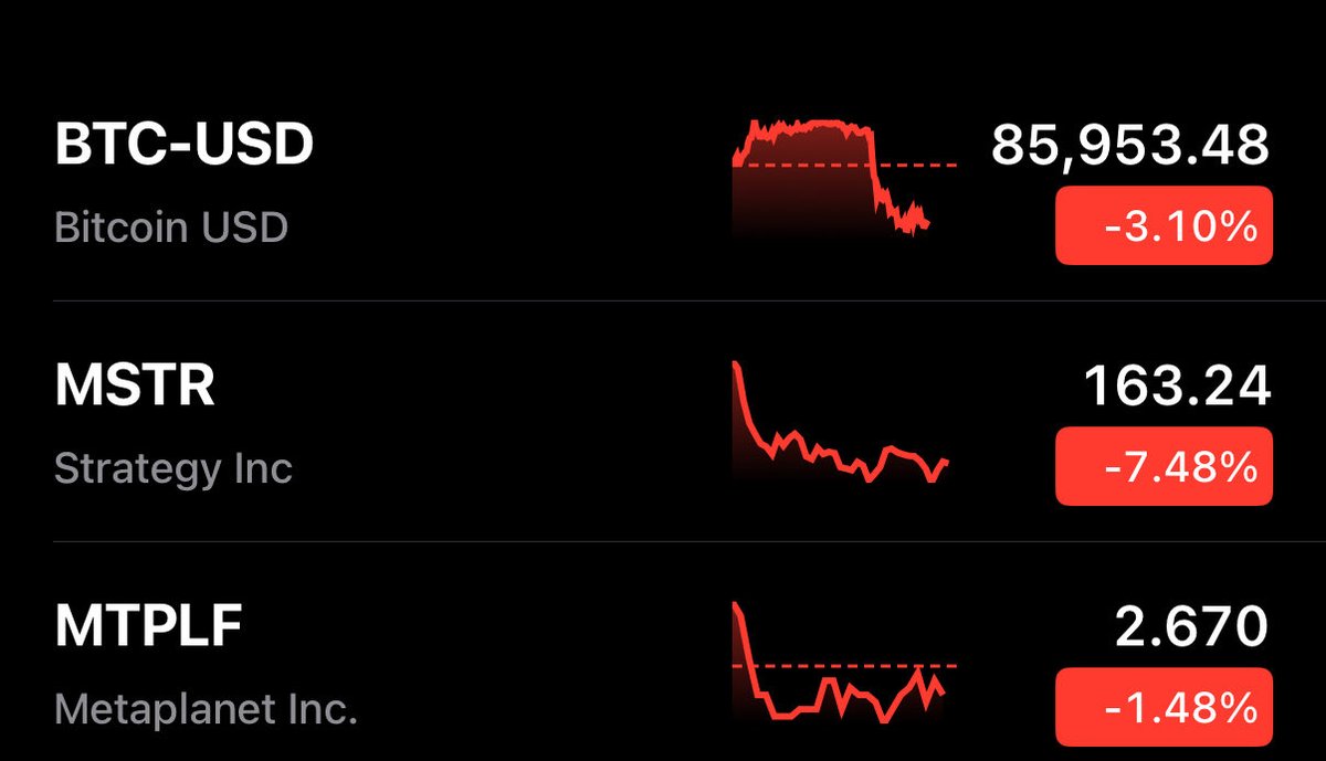 Metaplanet is showing good resilience today 💪😤