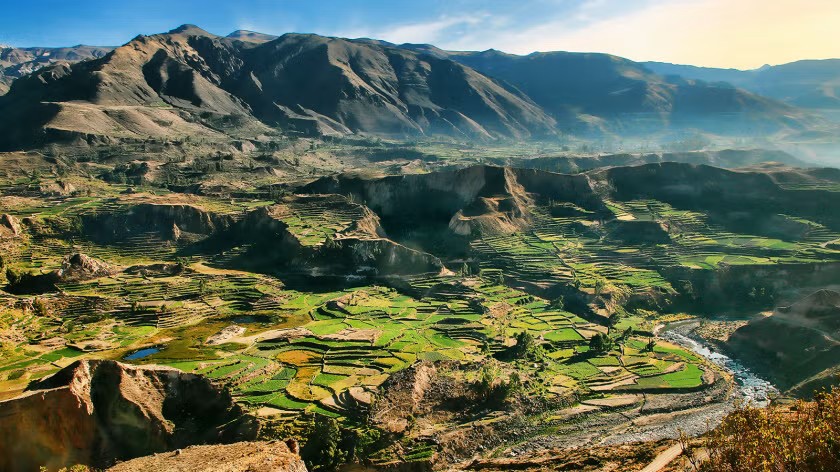 Global Environment Facility (GEF) tweet media